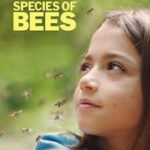 20000 Species of Bees