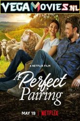 A Perfect Pairing 1