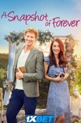 A Snapshot of Forever