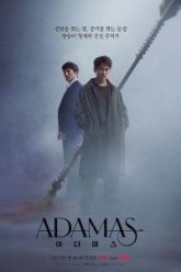 Adamas 200×300 1