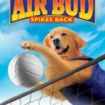 Air Bud Spikes Back