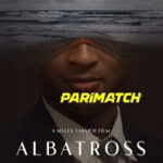 Albatross
