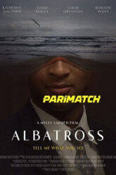 Albatross