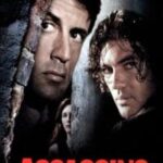 Assassins 1995 Hindi Poster