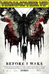 Before I Wake