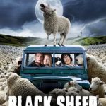 Black Sheep 2006