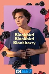 Blackbird Blackbird Blackberry