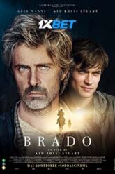 Brado