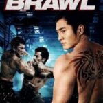 Brawl 2012 Hindi ORG