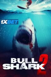 Bull Shark 2