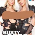 Busty Cops On Patrol 2 poster