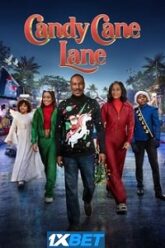 Candy Cane Lane