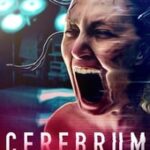 Cerebrum 3