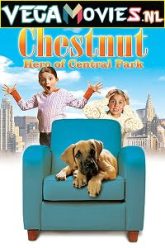 Chestnut Hero of Central Park