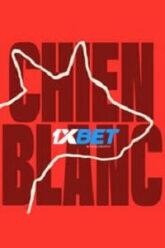 Chien Blanc