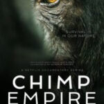 Chimp Empire 2023 Season 1
