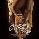 Chudail Story 2016 poster