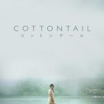 Cottontail