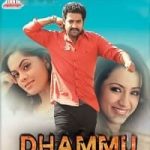Dhammu 2013