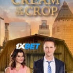 Download Cream of the Crop 2022 Hindi Voice Over Full Movie WEB DL Watch Online