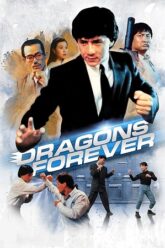 Dragons Forever 1988 poster