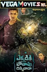 Ekkadiki Pothavu Chinnavada