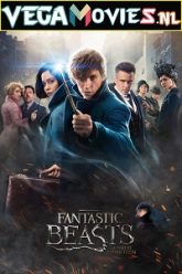 Fantastic Beasts And Where To Find Them 2016s