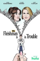 Fleishman Is In Trouble
