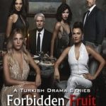 Forbidden Fruit season 1 in hindi