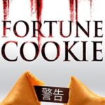 Fortune Cookie Hindi Dubbed