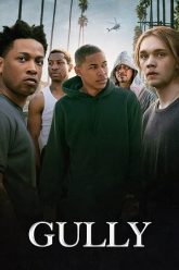Gully 2019