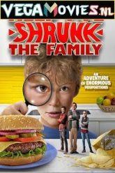 Help Ive Shrunk the Family 2016