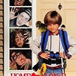 Home Alone 3 1997 Hindi Dual Audio