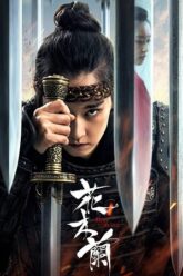 Hua Mulan 2020 poster