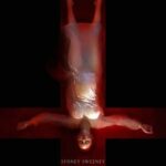 Immaculate 2024 English Poster