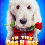 In the Dog House