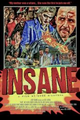 Insane 2015 poster