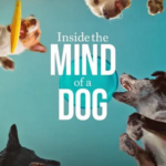 Inside the Mind of a Dog
