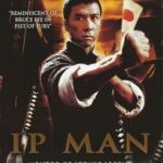 Ip Man 2008 Movie poster