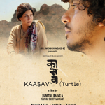 Kaasav Turtle 2017