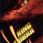 King Cobra