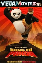 Kung Fu Panda 2008 Hindi poster