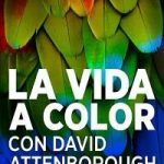 Life in Colour