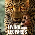 Living with Leopards 2024 2