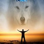 Lupo Bianco
