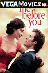 Me Before You 2016