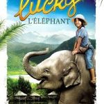 My Lucky Elephant 2013