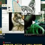 Netflix Dont Fuck with Cats Hunting an Internet Killer