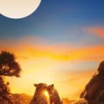 Our Planet 1. 2