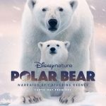 Polar Bear 2022